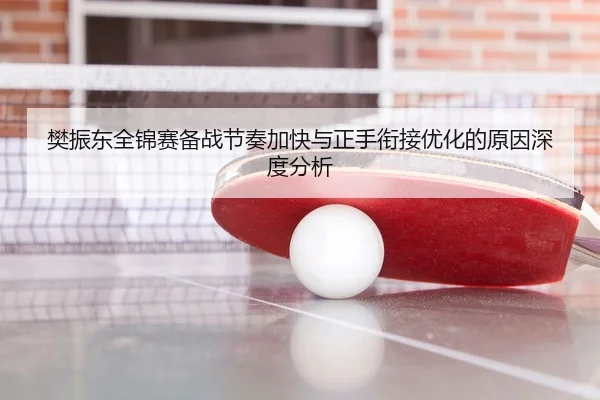 樊振东全锦赛备战节奏加快与正手衔接优化的原因深度分析